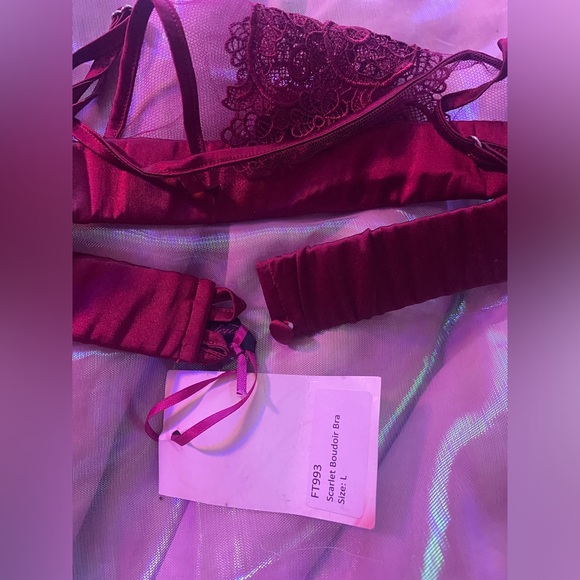 ❤️ Fleur of England Scarlet Boudoir Bra ❤️ NWT - SOLD OUT! 🔥 Med/Large - Picture 9 of 9